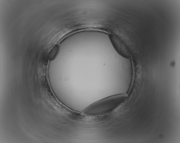 X0000115541169200912181522