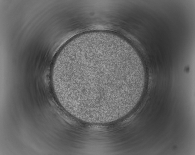 X0000115541170200912181522