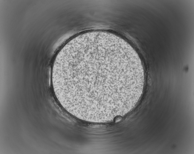 X0000115541171200912181522