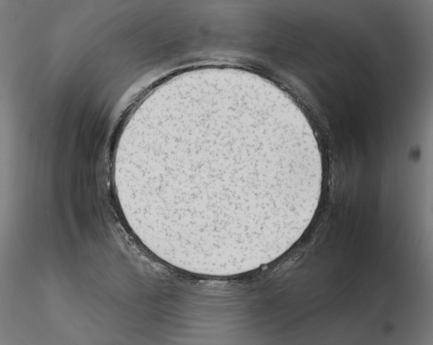 X0000115541172200912181522