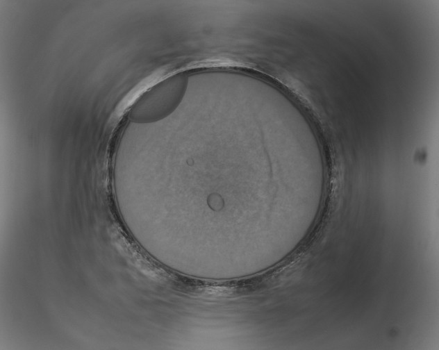 X0000115541173200912181522