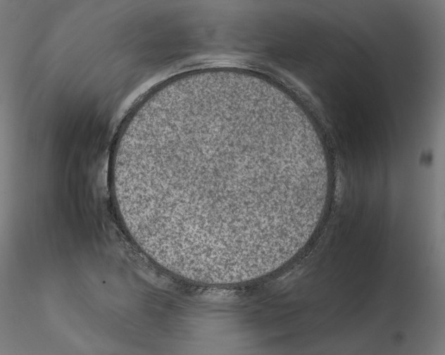 X0000115541174200912181522