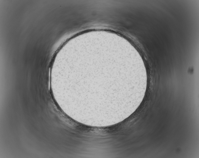 X0000115541175200912181522