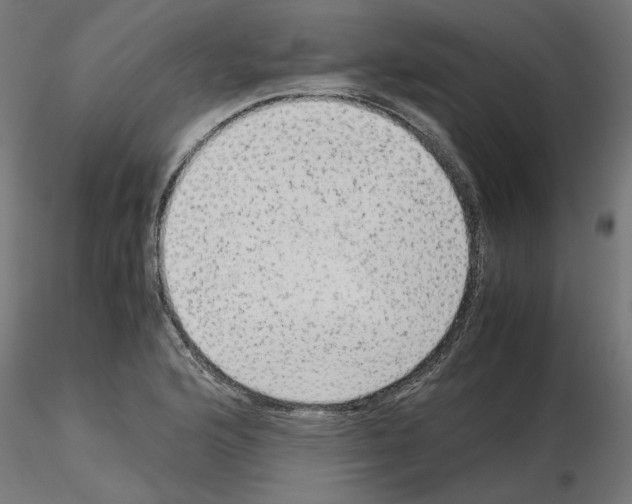 X0000115541176200912181522