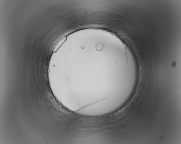 X0000115541177200912181522
