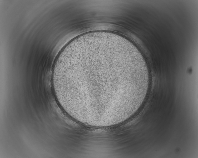 X0000115541178200912181522
