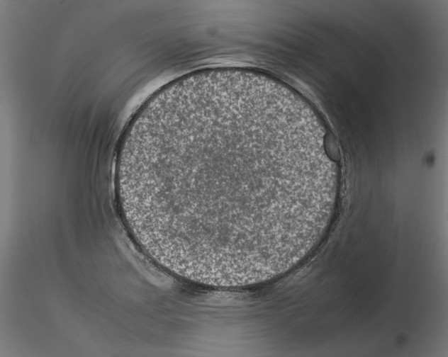 X0000115541179200912181522