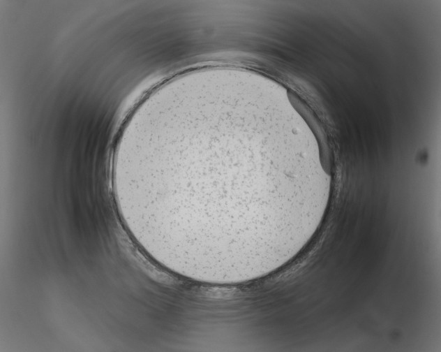 X0000115541180200912181522