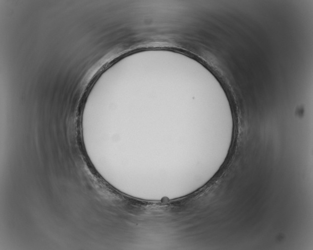 X0000115541181200912181522