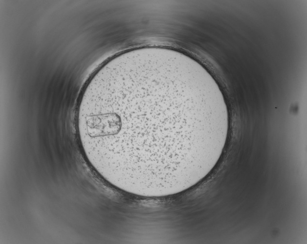 X0000115541182200912181522