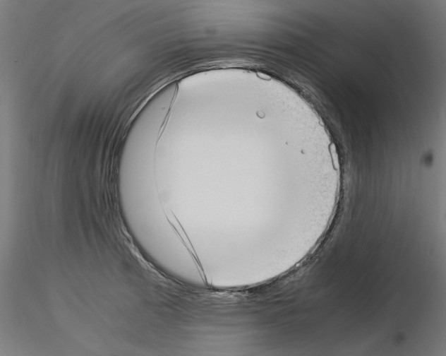 X0000115541185200912181522