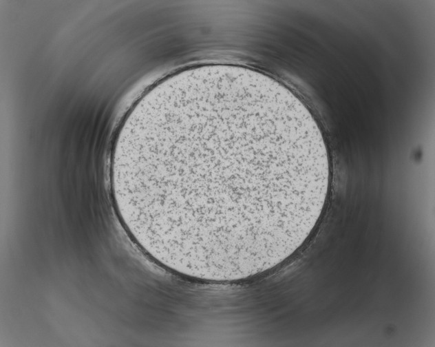 X0000115541188200912181522