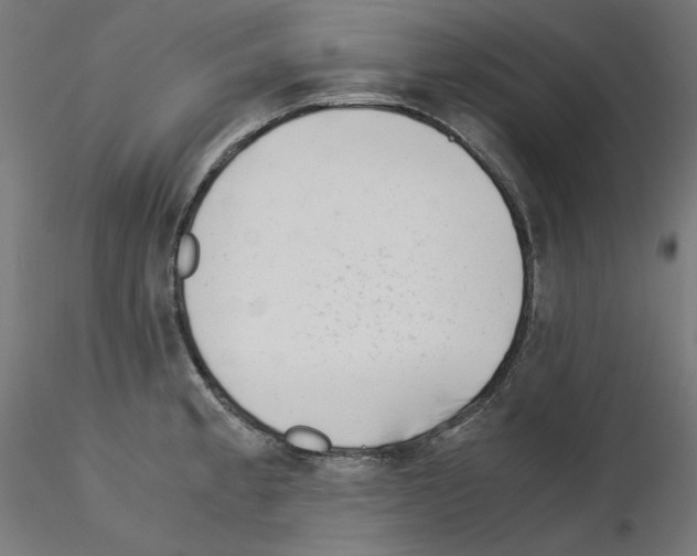 X0000115541189200912181522