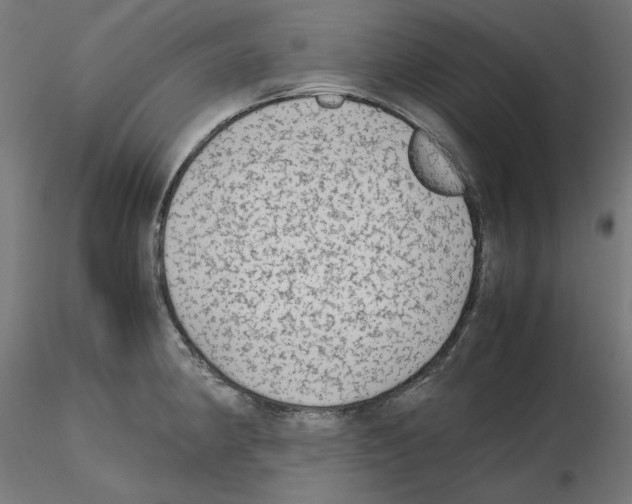 X0000115541190200912181522