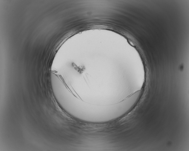 X0000115541193200912181522