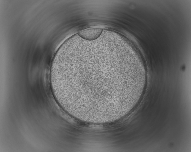 X0000115541194200912181522