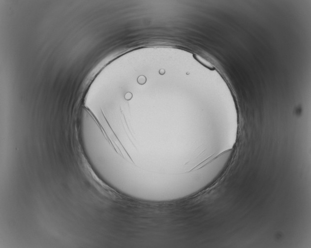 X0000115541195200912181522