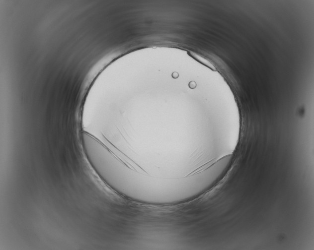 X0000115541196200912181522