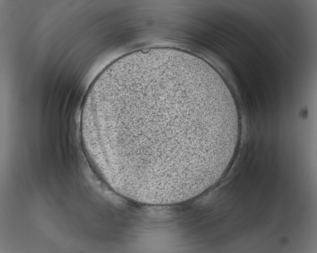 X0000115541198200912181522