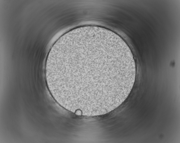 X0000115541199200912181522