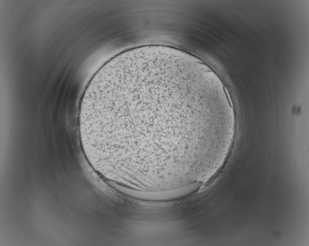 X0000115541200200912181522