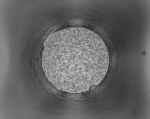 X0000115541201200912181521