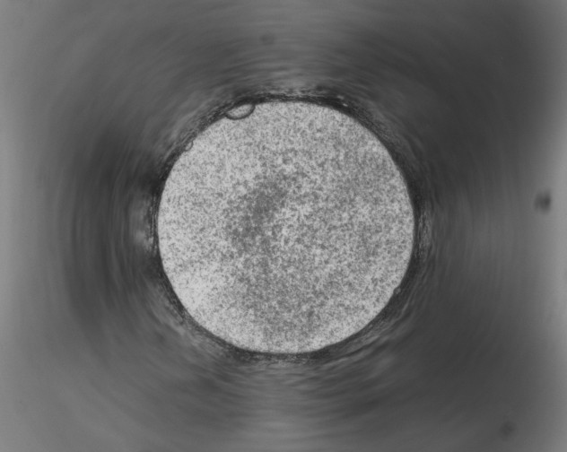 X0000115541202200912181521