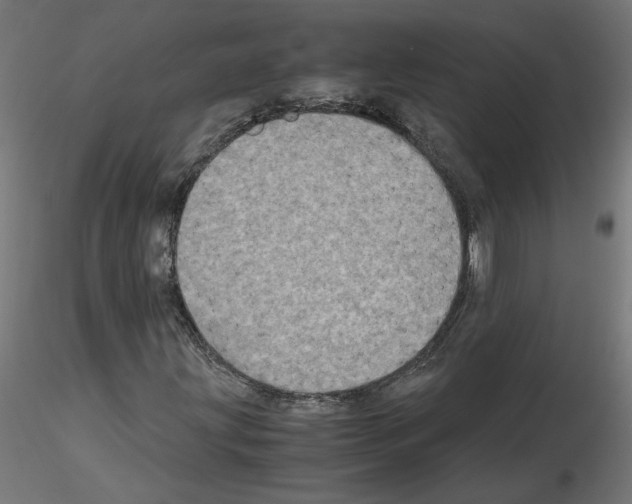 X0000115541203200912181521