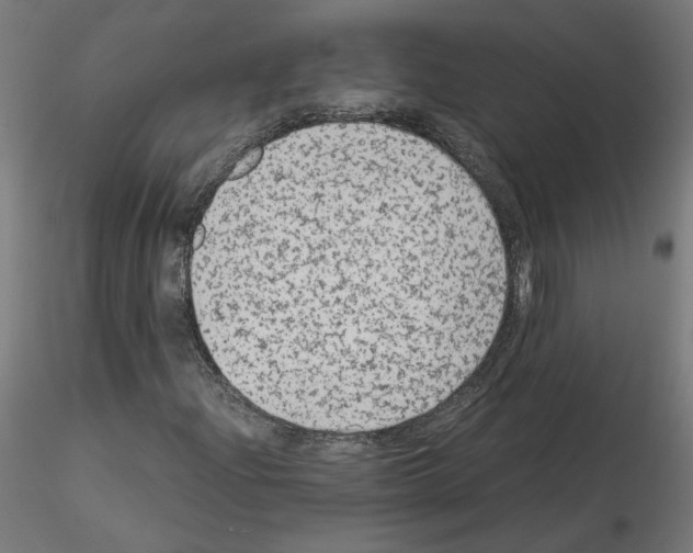 X0000115541204200912181521