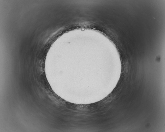 X0000115541205200912181521