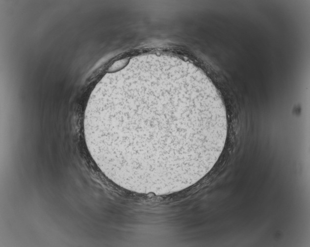 X0000115541206200912181521