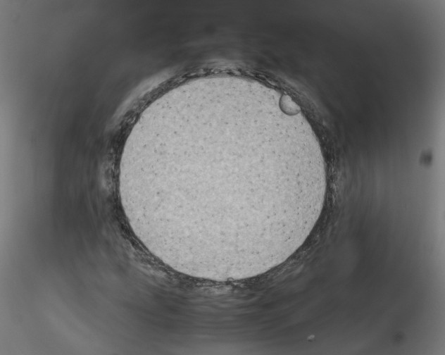 X0000115541207200912181521