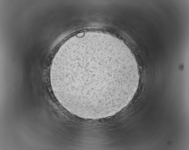 X0000115541208200912181521