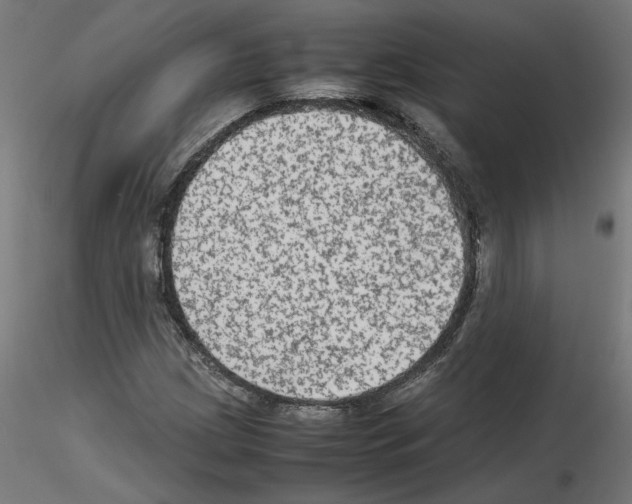 X0000115541209200912181521