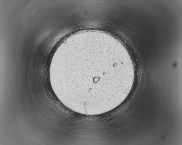 X0000115541210200912181521