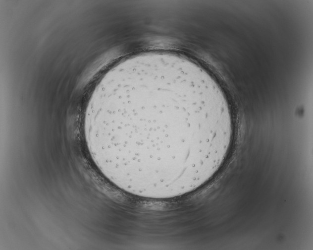 X0000115541211200912181521