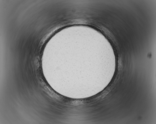 X0000115541212200912181521