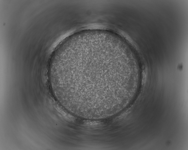 X0000115541213200912181521