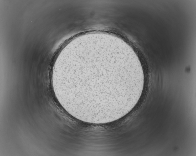 X0000115541214200912181521