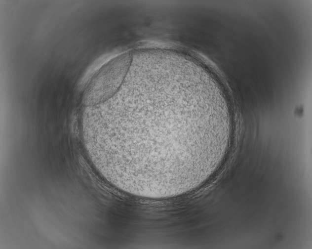 X0000115541215200912181521