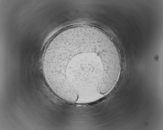 X0000115541216200912181521