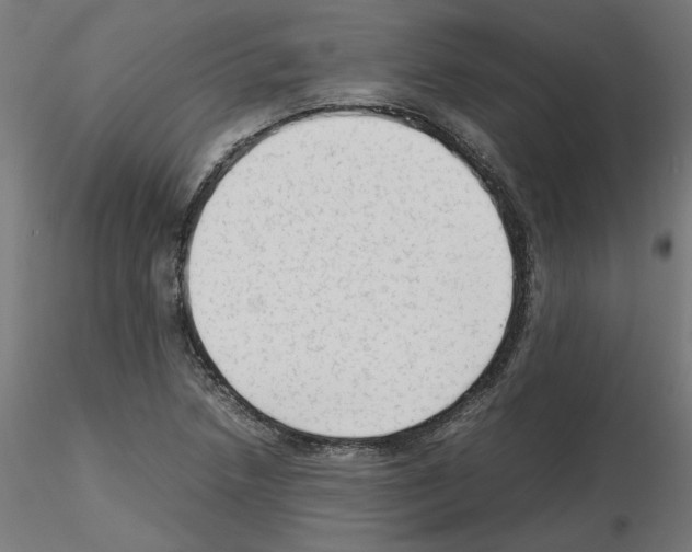 X0000115541218200912181521