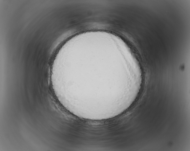 X0000115541219200912181522