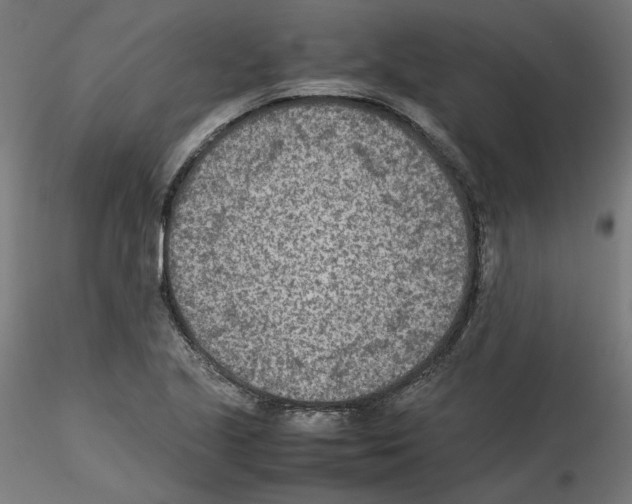 X0000115541221200912181522