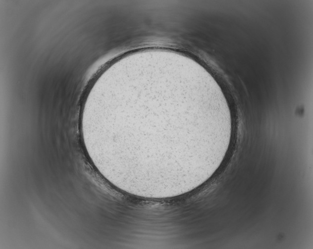 X0000115541222200912181522