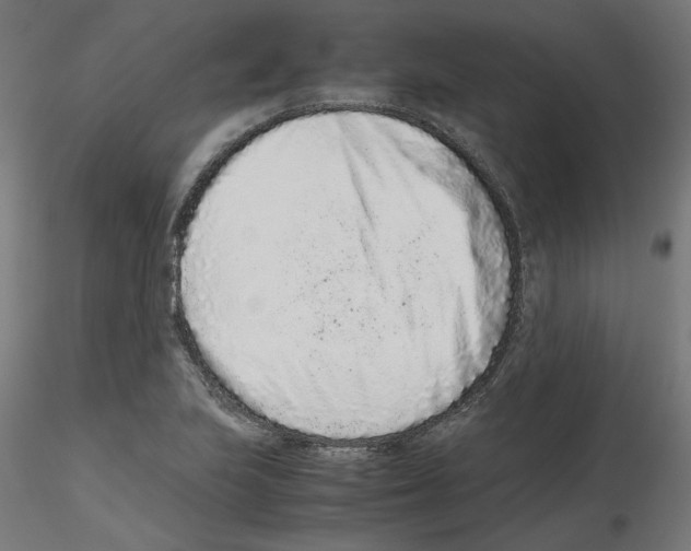 X0000115541223200912181522