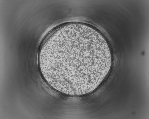 X0000115541224200912181522