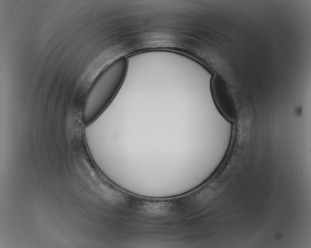 X0000115541225200912181522