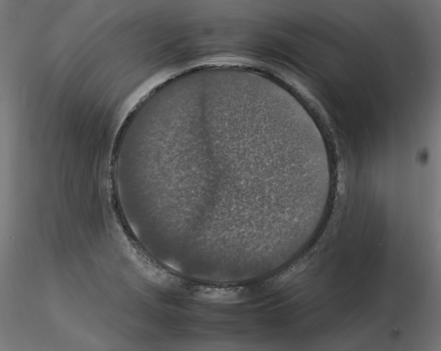 X0000115541229200912181522