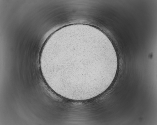 X0000115541230200912181522